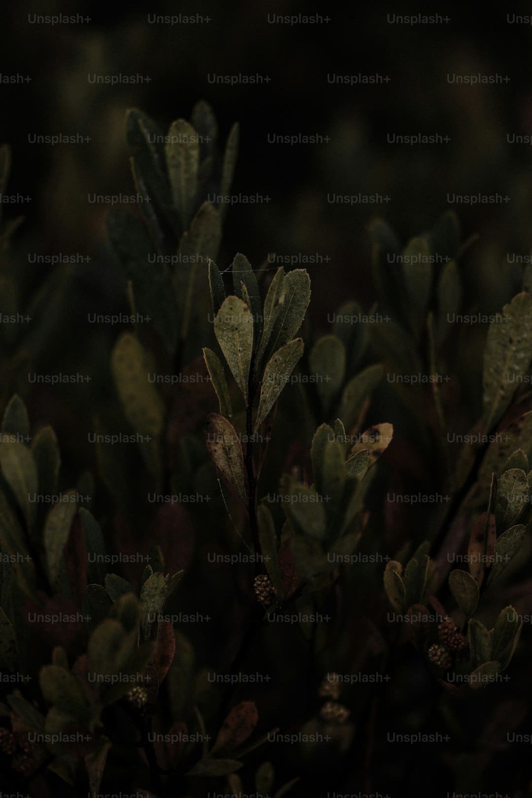 王源世界超级无敌大狂欢北京站两场连开 破鸟巢最年青开唱者记载